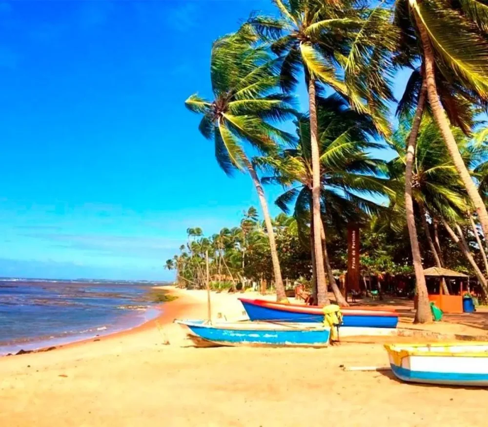  Na Praia do Forte, Bahia