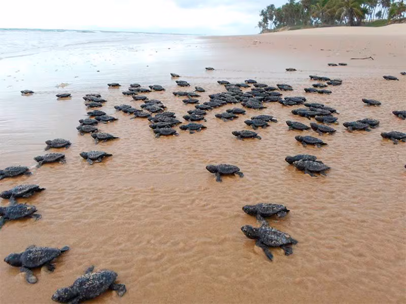 Sustentabilidade & Ecoturismo