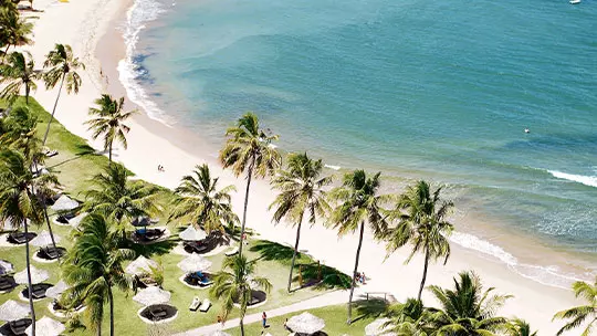 Assista ao vídeo Tivoli Ecoresort Praia do Forte